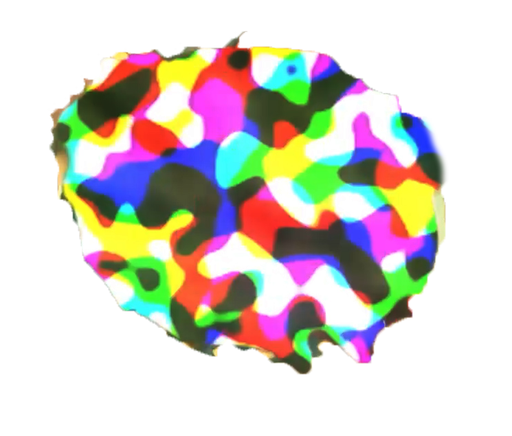 Schmelglin Logo